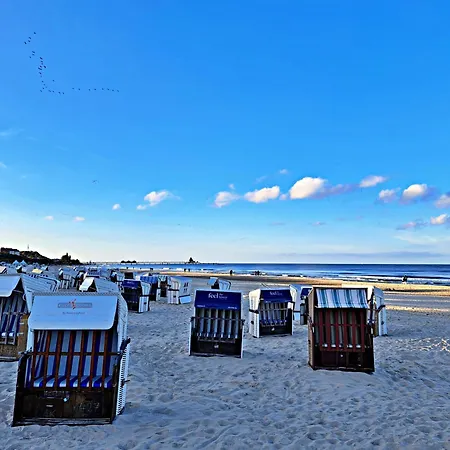 _carpe Diem_ Holiday home Heringsdorf (Usedom)